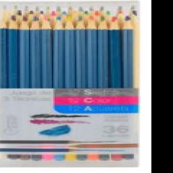 COLORES MIX 3 TECNICAS RODART ESTUCHE C36 PZAS